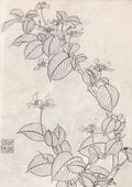 艺术画（3）