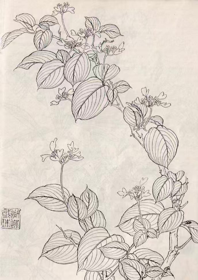 艺术画（3）