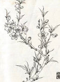 艺术画（2）