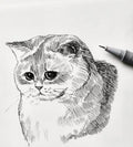 艺术画